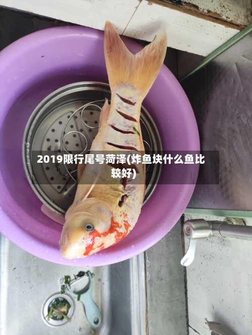 2019限行尾号菏泽(炸鱼块什么鱼比较好)