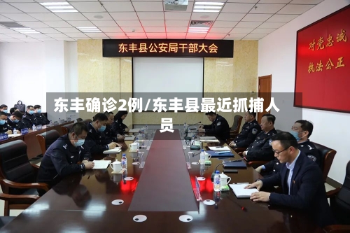 东丰确诊2例/东丰县最近抓捕人员