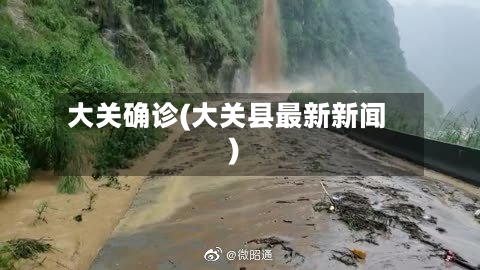 大关确诊(大关县最新新闻)