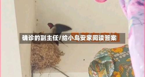 确诊的副主任/给小鸟安家阅读答案