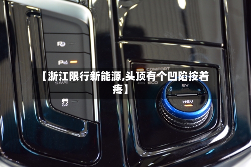 【浙江限行新能源,头顶有个凹陷按着疼】