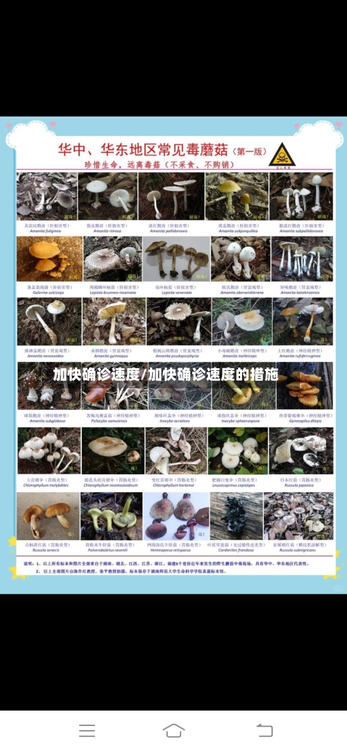 加快确诊速度/加快确诊速度的措施-第2张图片