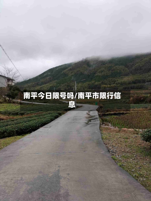 南平今日限号吗/南平市限行信息-第2张图片