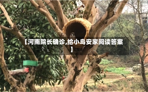 【河南院长确诊,给小鸟安家阅读答案】-第3张图片