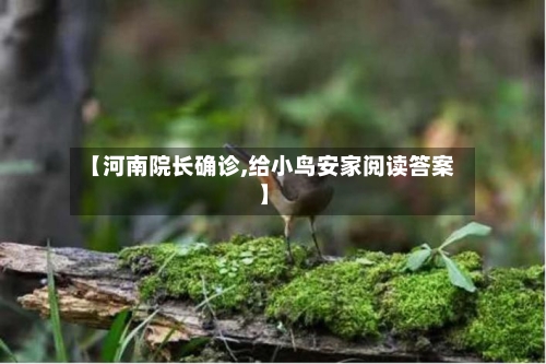 【河南院长确诊,给小鸟安家阅读答案】-第2张图片