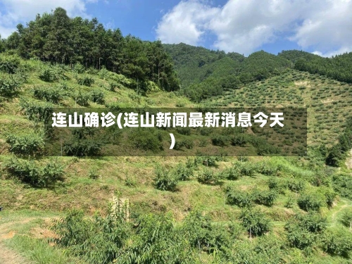 连山确诊(连山新闻最新消息今天)