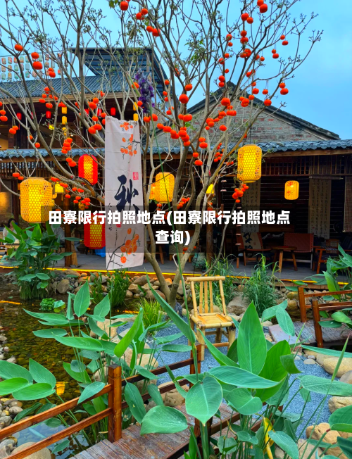 田寮限行拍照地点(田寮限行拍照地点查询)
