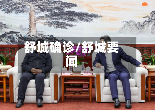 舒城确诊/舒城要闻-第3张图片