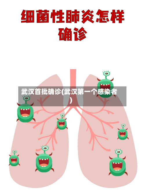 武汉首批确诊(武汉第一个感染者)