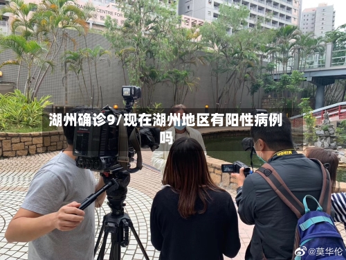湖州确诊9/现在湖州地区有阳性病例吗