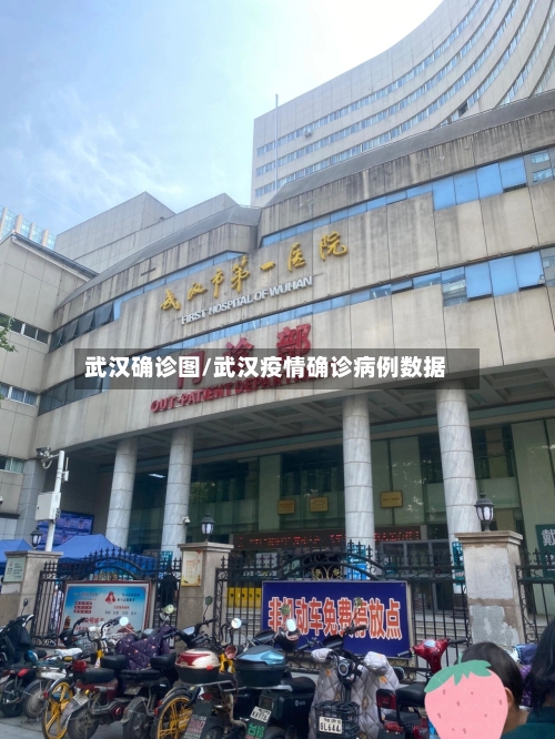 武汉确诊图/武汉疫情确诊病例数据