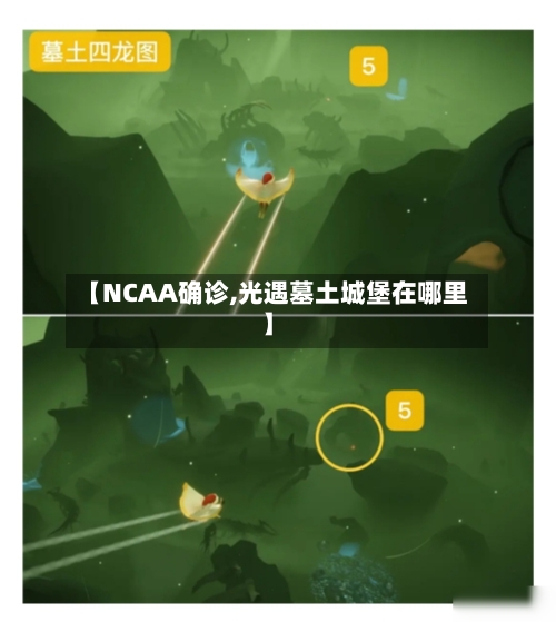 【NCAA确诊,光遇墓土城堡在哪里】-第2张图片