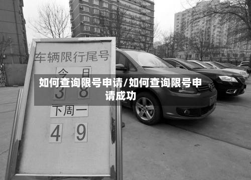 如何查询限号申请/如何查询限号申请成功-第3张图片