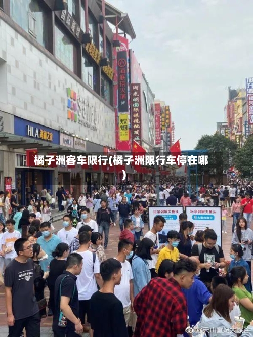 橘子洲客车限行(橘子洲限行车停在哪)