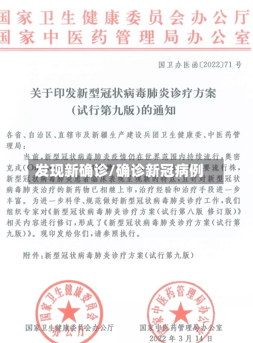 发现新确诊/确诊新冠病例