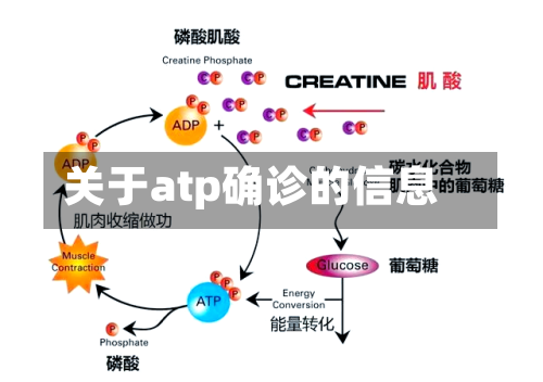 关于atp确诊的信息
