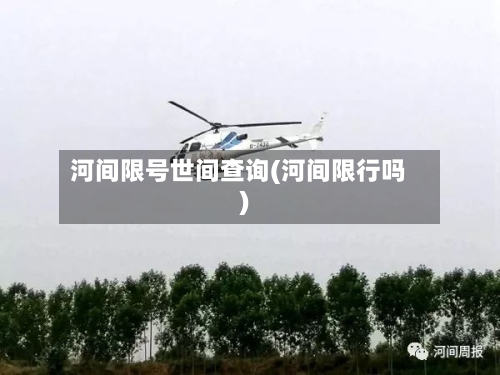河间限号世间查询(河间限行吗)