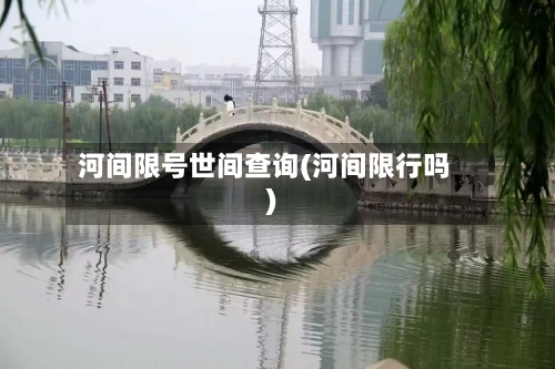河间限号世间查询(河间限行吗)-第3张图片