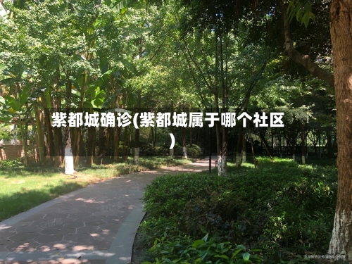 紫都城确诊(紫都城属于哪个社区)