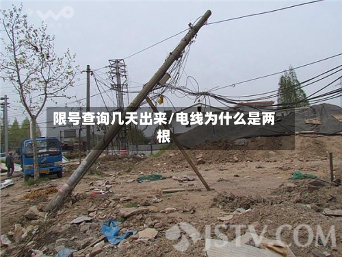 限号查询几天出来/电线为什么是两根