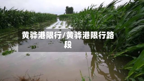黄骅港限行/黄骅港限行路段