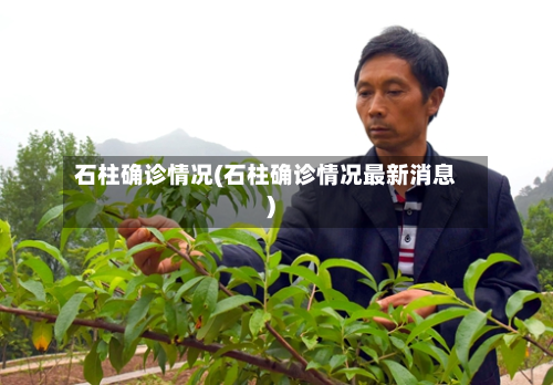石柱确诊情况(石柱确诊情况最新消息)