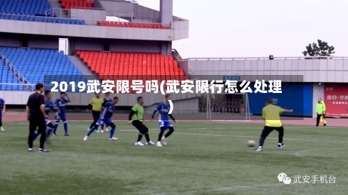 2019武安限号吗(武安限行怎么处理)-第2张图片
