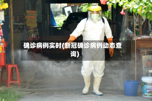 确诊病例实时(新冠确诊病例动态查询)-第2张图片