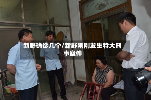 新野确诊几个/新野刚刚发生特大刑事案件-第2张图片