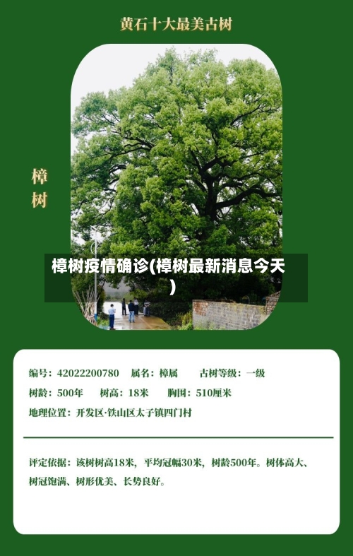 樟树疫情确诊(樟树最新消息今天)-第2张图片